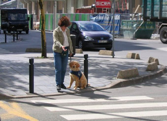 les lignes, vas devant